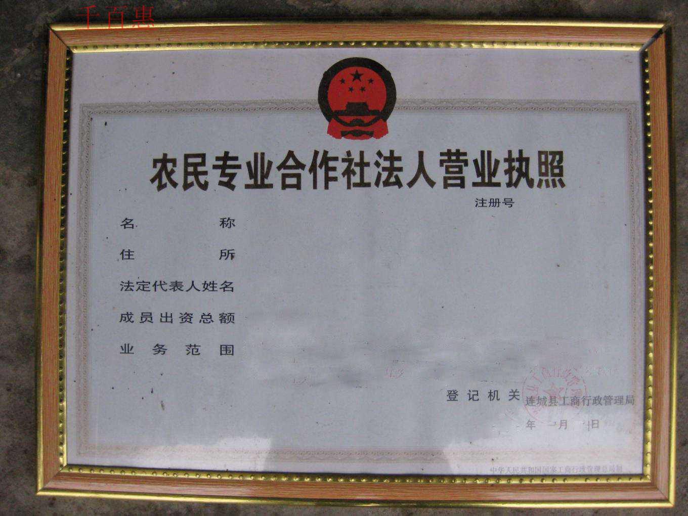 千百惠小編細(xì)講:從事農(nóng)業(yè)的朋友注冊(cè)農(nóng)業(yè)公司好還是注 千百惠小編細(xì)講:從事農(nóng)業(yè)的朋友注冊(cè)農(nóng)業(yè)公司好還是注