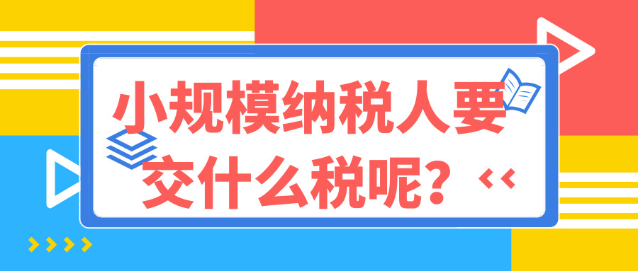 小規(guī)模納稅人 小規(guī)模納稅人